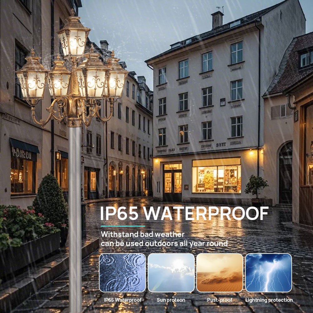 Customize Outdoor 5 Head Class - đánh giá và giá Outdoor Lighting Poles