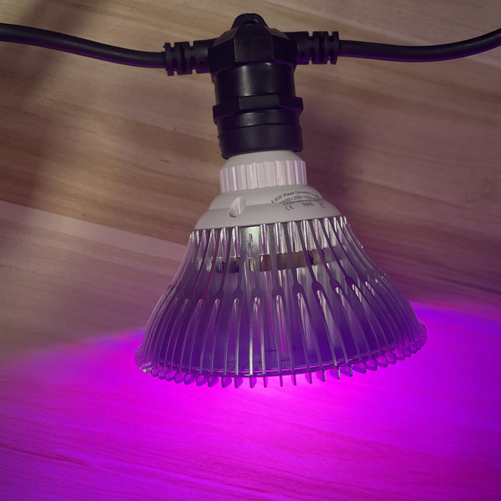 10M Cable LED String Commercia - đánh giá và giá Outdoor Lighting Nearby
