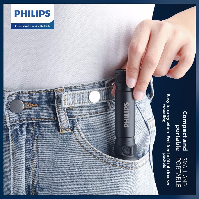 2025 NEW Philips SFL2188 LED A - đánh giá và giá Outdoor Lighting Nearby