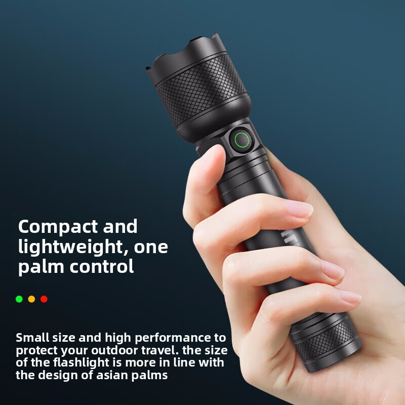 2025 NEW Philips SFL2188 LED A - đánh giá và giá Outdoor Lighting Nearby